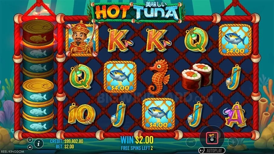 oktt ph Effective Bankroll Management